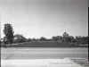 Negative, Film