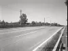 Negative, Film