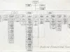 Chart, Organizational
