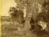 Stereograph - No. 85 Bloody Run