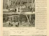 Newspaper