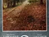 Music, Sheet - The Road to Yesterday