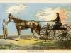 Lithograph