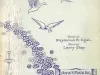 Music, Sheet - Tomorrow's Violets