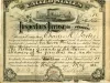 License, Occupational - United States Inspectors License to Pilots