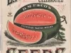 Poster - D.M. Ferry & Co.'s Celebrated Seeds