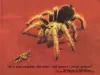 Poster - Consumer Protection
[Milliken for Michigan]