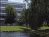 Brochure - "This is Parke-Davis"