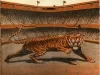 Scorecard - Official Detroit Tigers Score Card
Briggs Stadium, 1946