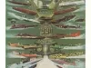 Poster - 75th Anniversary - Detroit APBA Gold Cup