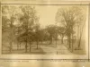 Print, Photographic - Pic-Nic and Base Ball Grounds