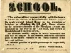 Advertisement