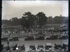 Negative, Glass-plate