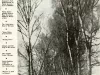 Magazine - The Polish Review, Vol. IV, No. 44, Nov. 23, 1944