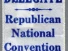 Ribbon, Political
