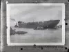 Negative, Glass-plate