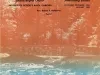 Newsletter - The Second Baptist Advocate, Vol. 30, No. 4, November 1981-January 1982