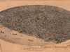 Print - The Commercial Center of Detroit, Michigan - 1907