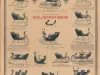 Poster - Sleighs