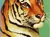 Guidebook - Guide Book of the Detroit Zoo