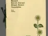 Program
