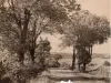 Magazine - The Hudsonian, Vol. 27, No. 7