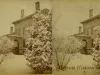 Stereograph