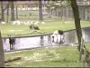 U-Matic - Belle Isle :60, :30