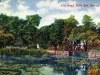 Postcard - Lily Pond, Belle Isle, Detroit, Mich.