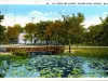 Postcard - 56 Lily Pond and Casino, Palmer Park, Detroit, Mich.