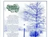 Newsletter - La-Z-News