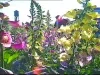 U-Matic - Flower Day @ Eastern Market, 5-19-91