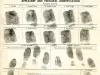 Card, Identification - Detroit Terminal Railroad Company 
Employee Identification Card