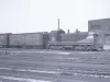 Negative, Roll Film