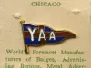 Pin, Lapel