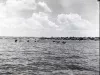 Negative, Film