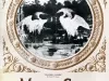 Magazine - The Main Sheet