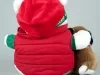 Animal, Stuffed