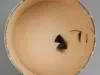 Hatbox