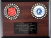 Plaque, Award