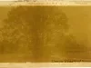 Photograph, Cabinet