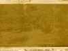 Photograph, Cabinet