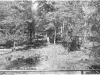 Photograph, Cabinet
