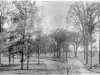 Photograph, Cabinet