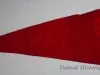 Pennant
