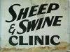 Sign, Informational - Sheep & Swine Clinic