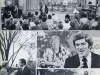 Newsletter - The Storer Story