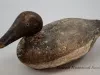 Decoy