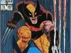 Book, Comic - The Uncanny X-Men #207