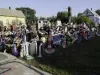 Image, Digital - Heidelberg Project, Pile of toys on the grass, From sidewalk to backyard